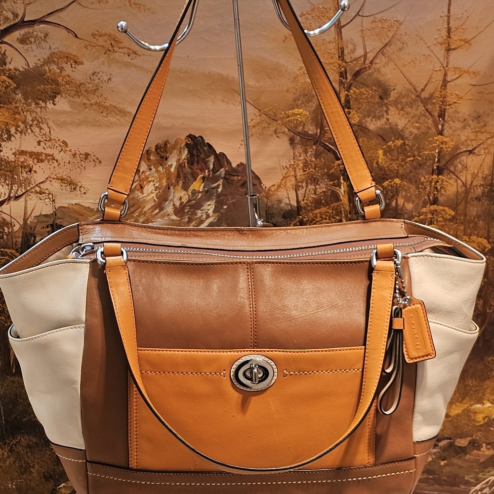 Coach Carrie Colorblock Leather Shoulder Bag - Picture 5 of 16